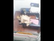 高手偷拍养生馆按摩房犀利大叔各种姿势草到女技师喊肚子疼也没有射还要撸普通话对白