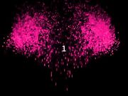 土豪哥现场sm调教美少女给网友观看-有钱人真会玩-国语对白