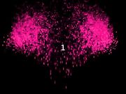 史上最骚极品骚货小董洁超诱惑口交胯下裹屌