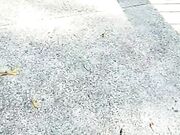 骚货俏秘书跟小哥哥玩刺激的野战叫都不敢大声