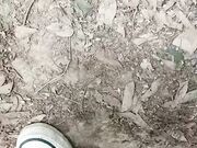 户外野战淫荡少妇骚话勾引57岁保安大爷