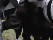 Hameru EWars Rugby Bu - Scene 1 - Pornhubp