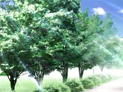 山姫の実 第二巻真砂絵