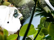 精品小旅馆偷拍短小眼镜小胖女友对他很满意完了还给他香吻