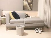 高价约操披肩美乳外围沙发上激情爆操