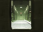 一个性感的年轻金发女郎与大鸡巴深喉玩弄抽插