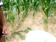 国产野战玉米地3p美少女压坏了农民伯伯不少玉米