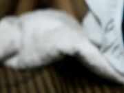 迷奸女闺蜜 下药迷翻各种姿势干