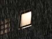 职场诱惑 I罩杯女上司与处男下属的十次缠绵2