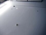 半夜来的年轻小妹 近距离特写交舔屌 上位骑乘扭动小腰 抬腿侧入双手交叉猛操