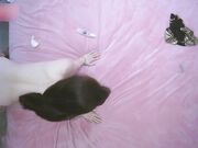 5k约了一个身材体脂比率完美的妹子少妇韵味感爆棚