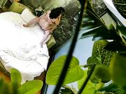 饥渴马尾小少妇与四眼男偷情