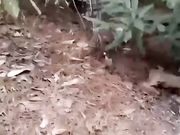 带着两个村姑到山上野战