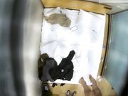 女友被干的表情销魂叫床声不错奶子很大