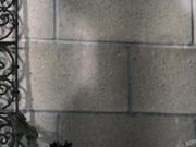 全身涂满油后的激烈炮战