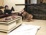 风情艳主豪宅调教朋友圈里的变态富姐这逼舔的很是让人嫉妒