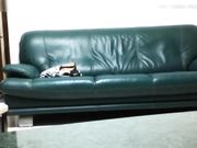 趁老婆不在家约一个援交妹回来在客厅啪啪