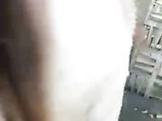 露脸骚货俏秘书跟小哥哥玩刺激的野战找个没人的地方就开干