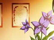 巨乳トライ！短期集中乳揉みレッスン1 レッスンスタート