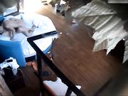 清纯漂亮的美女换上黑丝情趣服和经验丰富的新男友玩扑克,输了要被对方任意宰割,美女一直输被干的呻吟大叫!