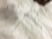 广东外语学院张X菲与老外4P激情视频流出不要命了