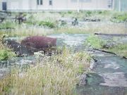 够了、乱七八糟的搞上。 亲妹妹的陷阱