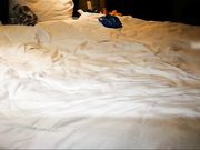 情趣衣肉丝袜少妇一边被草一边玩手机，720P完整版