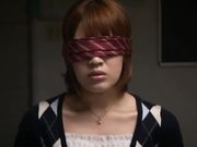 马赛克破坏版本田莉子