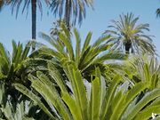 美女老师和学员情侣一起啪啪发骚勾搭