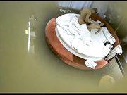 精品特色主题酒店偷拍农民工模样小伙带着乡下女友开洋荤酒店开房啪啪精力旺盛干了几次