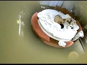 精品特色主题酒店偷拍农民工模样小伙带着乡下女友开洋荤酒店开房啪啪精力旺盛干了几次