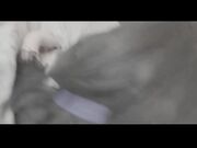 白虎萝莉『柚木』新作性爱私拍