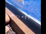 网红嫩妹青木小河福利视频合集年龄不大绝对够骚还是无毛逼