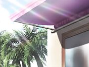 人妻、蜜与肉第三卷