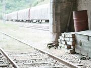 公众场合高风险性爱，我在火车站后入了我的亚洲女友